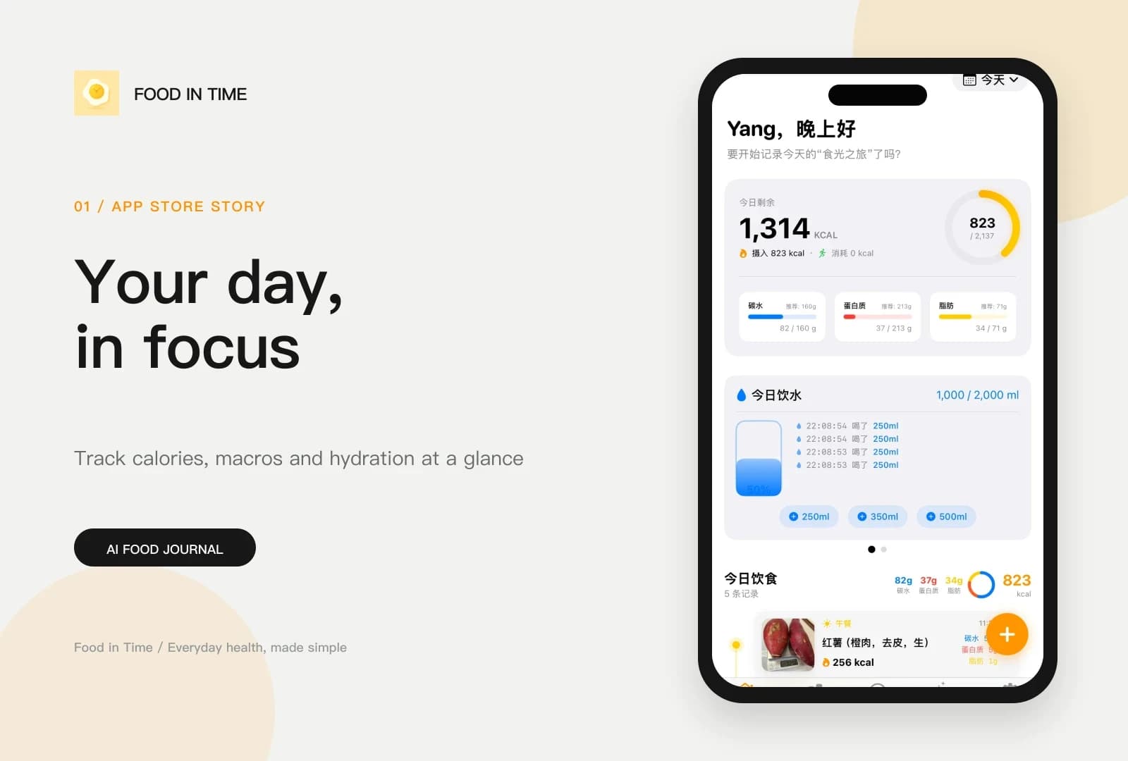 Shiguangji English daily nutrition dashboard showcase
